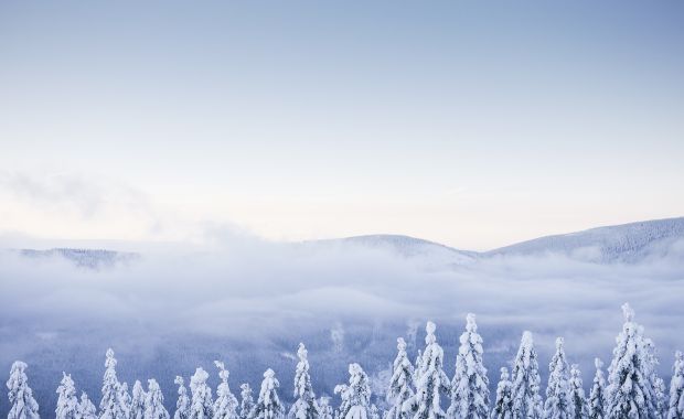 Fog Over A Snowy Forest In The Mountains Picjumbo Com